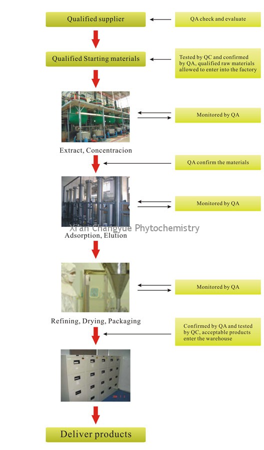 xian changyue Flow Chart